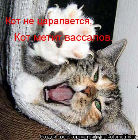 Котоматрица: Кот метит вассалов. Кот не царапается,