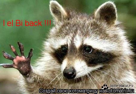 I el Bi back !!!... Котоматрица: I el Bi back !!!