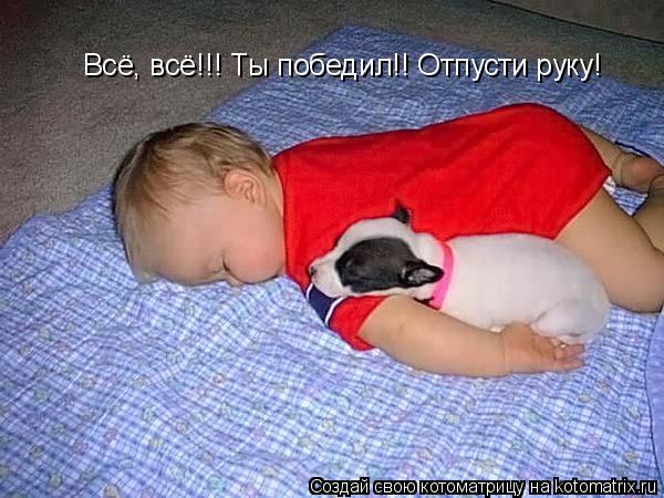 Котоматрица: Всё, всё!!! Ты победил!! Отпусти руку!