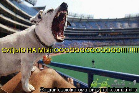 СУДЬЮ НА МЫЛООООООООООООО!!!!!!!!!!!!!!... Котоматрица: СУДЬЮ НА МЫЛООООООООООООО!!!!!!!!!!!!!!
