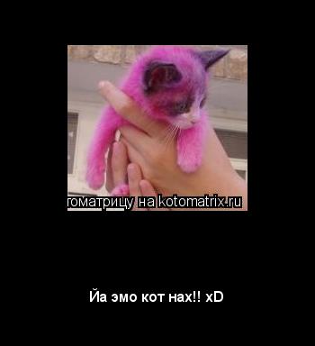 Котоматрица: Э М О   К О Т 