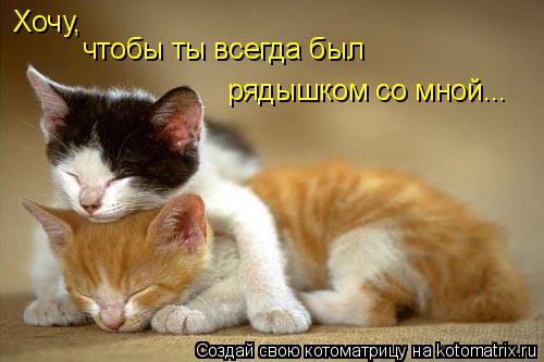 Котоматрица: чтобы ты всегда был Хочу, рядышком со мной...