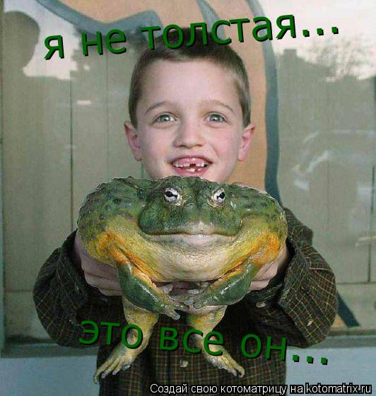 Котоматрица: я не толстая... это все он...