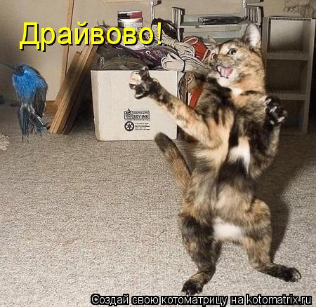 Драйвово!... Котоматрица: Драйвово!