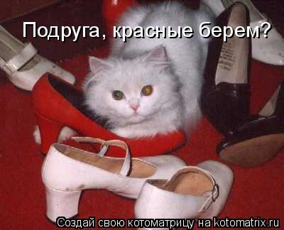 Подруга, красные берем?... Котоматрица: Подруга, красные берем?