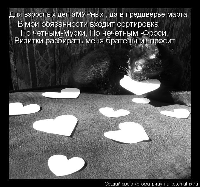 Котоматрица: В мои обязанности входит сортировка: По четным-Мурки, По нечетным -Фроси, Для взрослых дел аМУРных , да в преддверье марта, Визитки разбирать