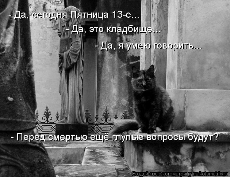 Котоматрица: - Да, сегодня Пятница 13-е... - Да, это кладбище... - Да, я умею говорить... - Перед смертью ещё глупые вопросы будут?