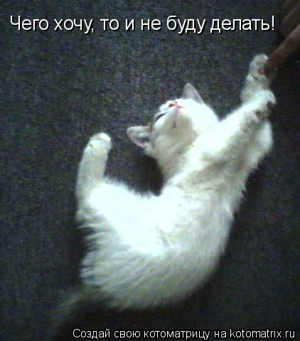 Котоматрица: Чего хочу, то и не буду делать!