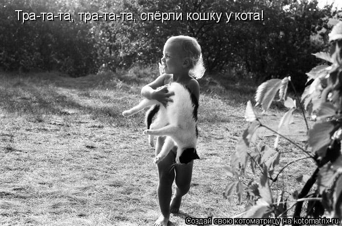 Котоматрица: Тра-та-та, тра-та-та, спёрли кошку у кота!