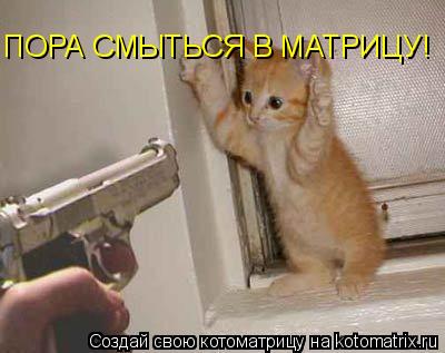 ПОРА СМЫТЬСЯ В МАТРИЦУ!... Котоматрица: ПОРА СМЫТЬСЯ В МАТРИЦУ!