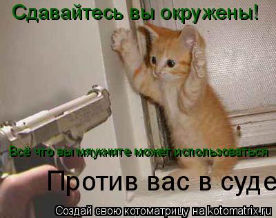Сдавайтесь вы окружены! Всё что вы мяукните может использоваться Против вас в суде... Котоматрица: Сдавайтесь вы окружены! Всё что вы мяукните может использоваться Против вас в суде