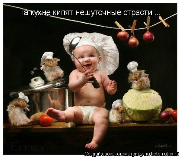 Котоматрица: На кухне кипят нешуточные страсти....