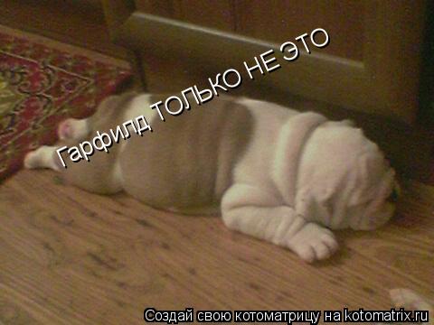 Котоматрица: Гарфилд ТОЛЬКО НЕ ЭТО