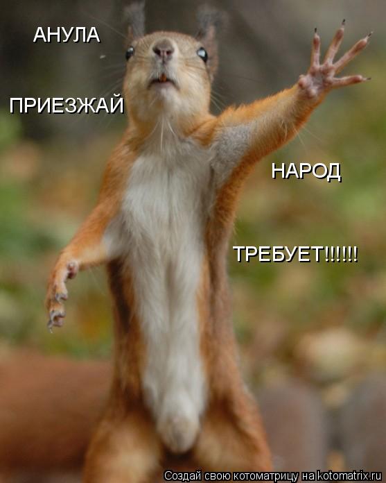 Котоматрица: АНУЛА ПРИЕЗЖАЙ НАРОД  ТРЕБУЕТ!!!!!!