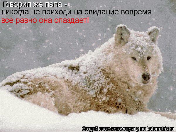 Котоматрица: Говорил же папа -  никогда не приходи на свидание вовремя все равно она опаздает!
