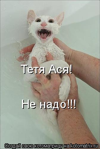 Котоматрица: Тетя Ася!  Не надо!!!