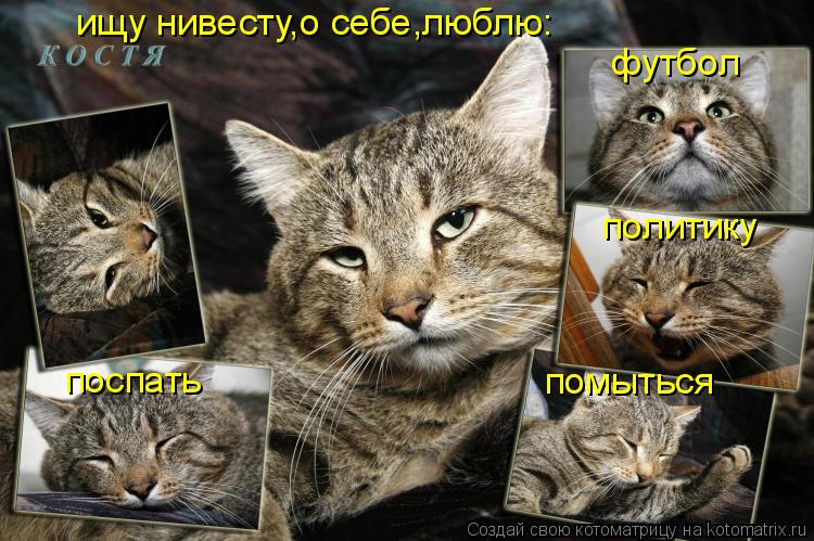 Котоматрица: футбол политику помыться поспать ищу нивесту,о себе,люблю: