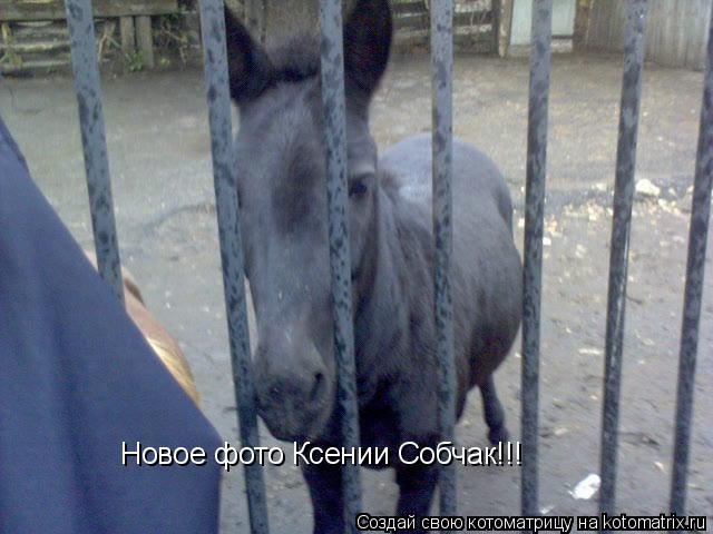 Котоматрица: Новое фото Ксении Собчак!!!