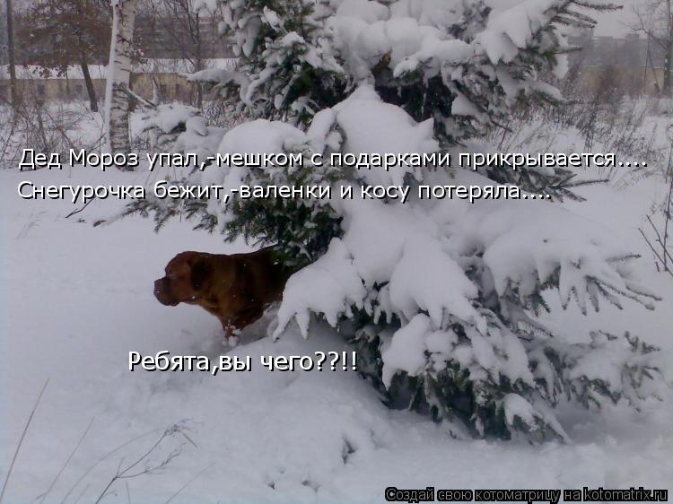 Котоматрица: Дед Мороз упал,-мешком с подарками прикрывается.... Cнегурочка бежит,-валенки и косу потеряла.... Ребята,вы чего??!!