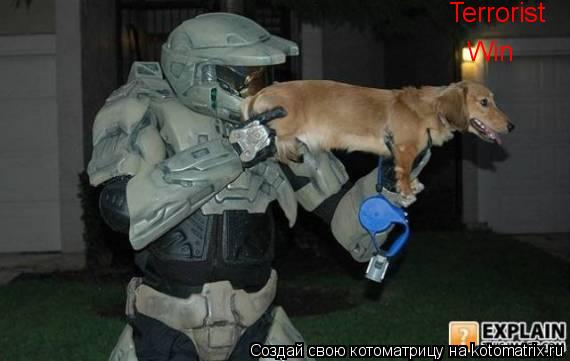 Котоматрица: Terrorist  Win
