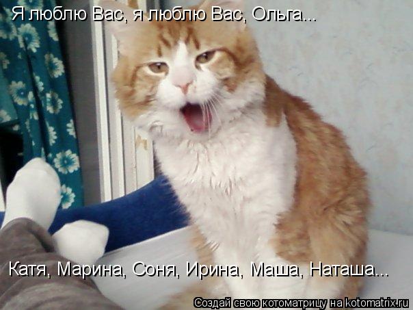 Котоматрица: Я люблю Вас, я люблю Вас, Ольга... Катя, Марина, Соня, Ирина, Маша, Наташа...