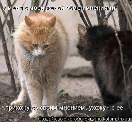 прихожу со своим мнением, ухожу - с её. У меня с моей женой обмен мнениями:... Котоматрица: прихожу со своим мнением, ухожу - с её. У меня с моей женой обмен мнениями:
