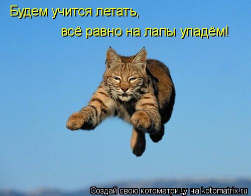 Будем учится летать, всё равно на лапы упадём!... Котоматрица: Будем учится летать, всё равно на лапы упадём!