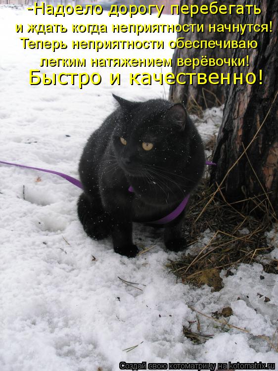 и ждать когда неприятности начнутся! Теперь неприятности обеспечиваю легким натяжением верёвочки! Быс... Котоматрица: и ждать когда неприятности начнутся! Теперь неприятности обеспечиваю легким натяжением верёвочки! Быстро и качественно! -Надоело дорогу п