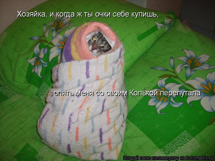 Хозяйка, и когда ж ты очки себе купишь, опять меня со своим Колькой перепутала... Котоматрица: Хозяйка, и когда ж ты очки себе купишь, опять меня со своим Колькой перепутала