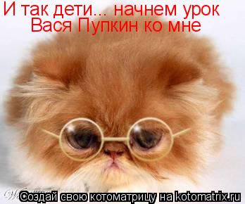 Котоматрица: И так дети... начнем урок Вася Пупкин ко мне