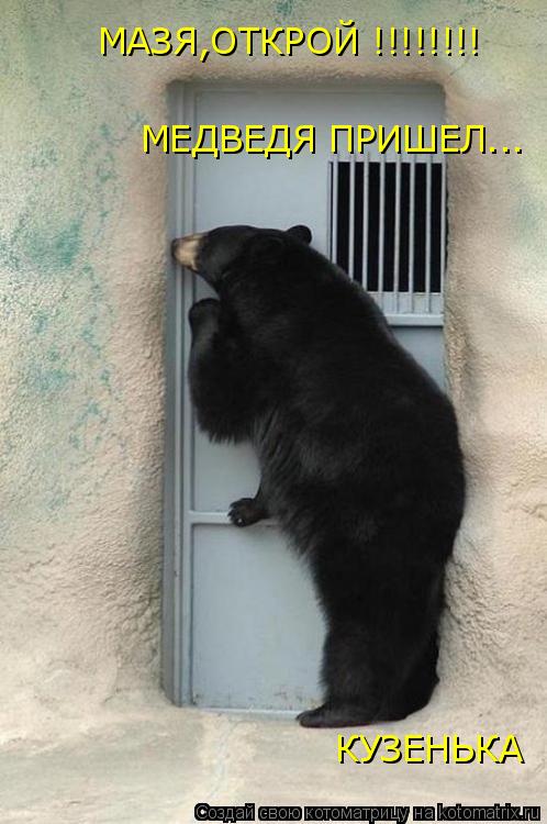 МАЗЯ,ОТКРОЙ !!!!!!!! МЕДВЕДЯ ПРИШЕЛ... КУЗЕНЬКА... Котоматрица: МАЗЯ,ОТКРОЙ !!!!!!!! МЕДВЕДЯ ПРИШЕЛ... КУЗЕНЬКА