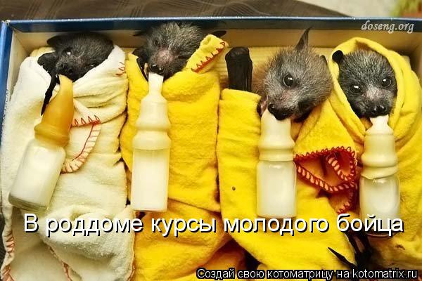 В роддоме проходят курсы молодого бойца В роддоме курсы молодого бойца... Котоматрица: В роддоме проходят курсы молодого бойца В роддоме курсы молодого бойца