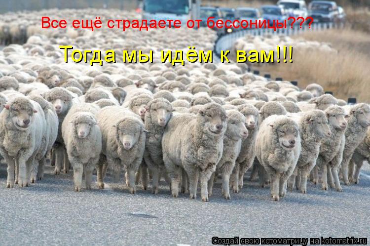 Котоматрица: Все ещё страдаете от бессоницы??? Тогда мы идём к вам!!!