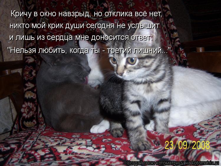 Кричу в окно навзрыд, но отклика всё нет, никто мой крик души сегодня не услышит и лишь из сердца мне... Котоматрица: Кричу в окно навзрыд, но отклика всё нет, никто мой крик души сегодня не услышит и лишь из сердца мне доносится ответ: и лишь из сердца мне до