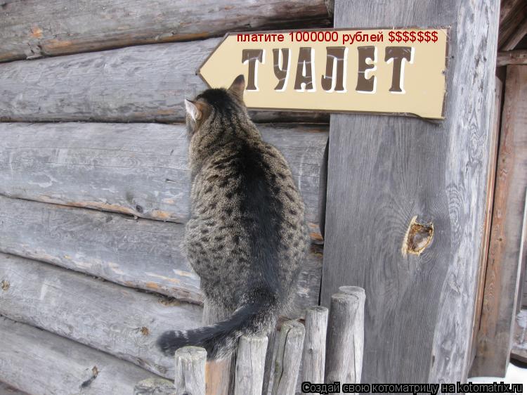платите 1000000 рублей $$$$$$$... Котоматрица: платите 1000000 рублей $$$$$$$