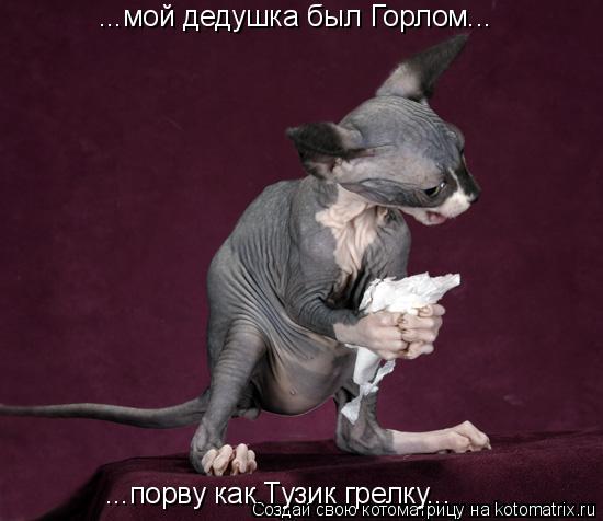 Котоматрица: ...мой дедушка был Горлом... ...порву как Тузик грелку...