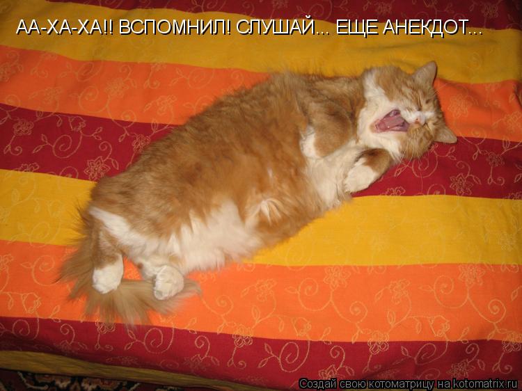 Котоматрица: АА-ХА-ХА!! ВСПОМНИЛ! СЛУШАЙ... ЕЩЕ АНЕКДОТ...