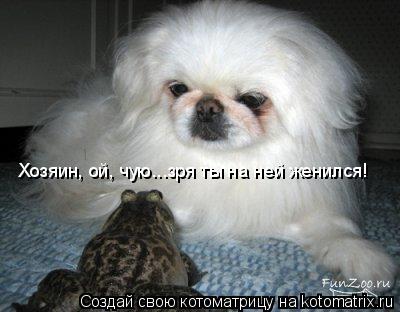 Котоматрица: Хозяин, ой, чую...зря ты на ней женился!