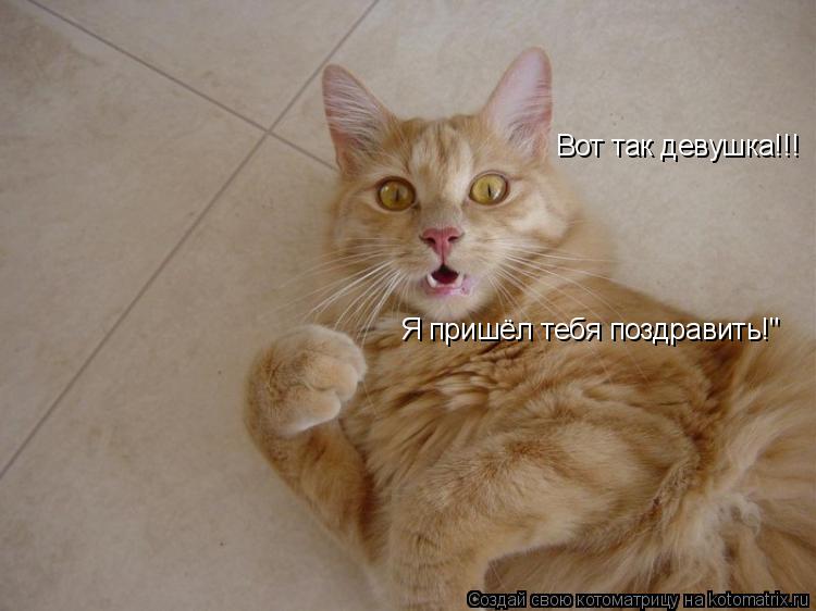 Котоматрица: Вот так девушка!!! Я пришёл тебя поздравить!"