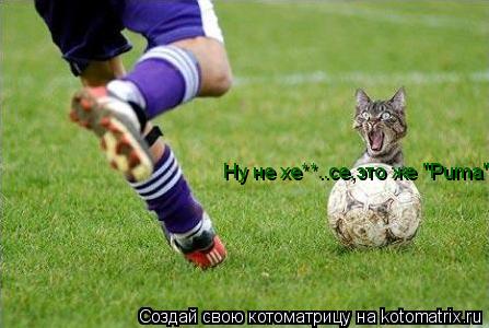 Котоматрица: Ну не хе**..се,это же "Puma"