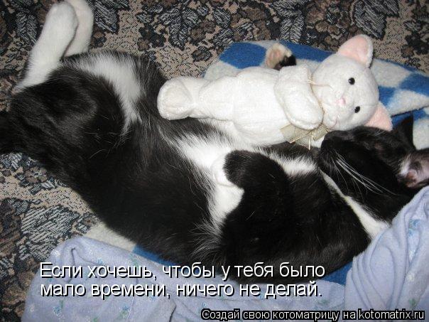 Котоматрица: Если хочешь, чтобы у тебя было  мало времени, ничего не делай.