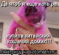 Котоматрица: Да чтоб я еще хоть раз купила китайский  кошачий домик!!!