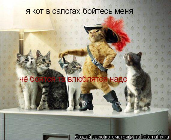 Котоматрица: я кот в сапогах бойтесь меня чё боятся та влюблятся надо