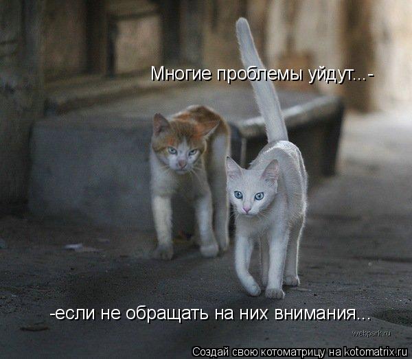 Котоматрица: Многие проблемы уйдут...- -если не обращать на них внимания...