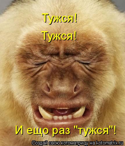 Котоматрица: Тужся! Тужся! И ещо раз "тужся"!