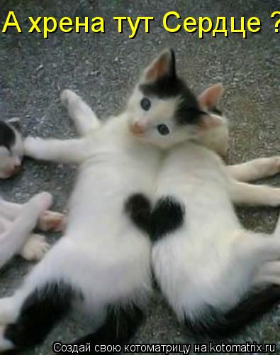Котоматрица: А хрена тут Сердце ?
