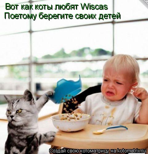 Котоматрица: Вот как коты любят Wiscas Поетому берегите своих детей