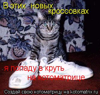В этих новых кроссовках я попаду в круть на котоматрице... Котоматрица: В этих новых кроссовках я попаду в круть на котоматрице