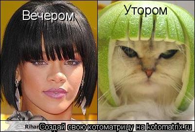Котоматрица: Вечером Утором Утором
