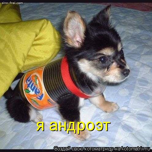 Котоматрица: я андроэт